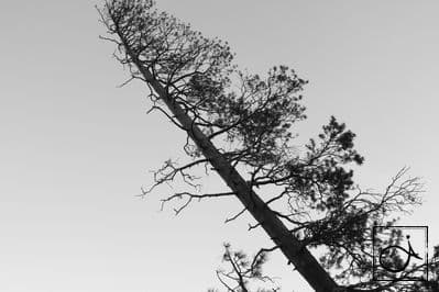 West Coast California - 2