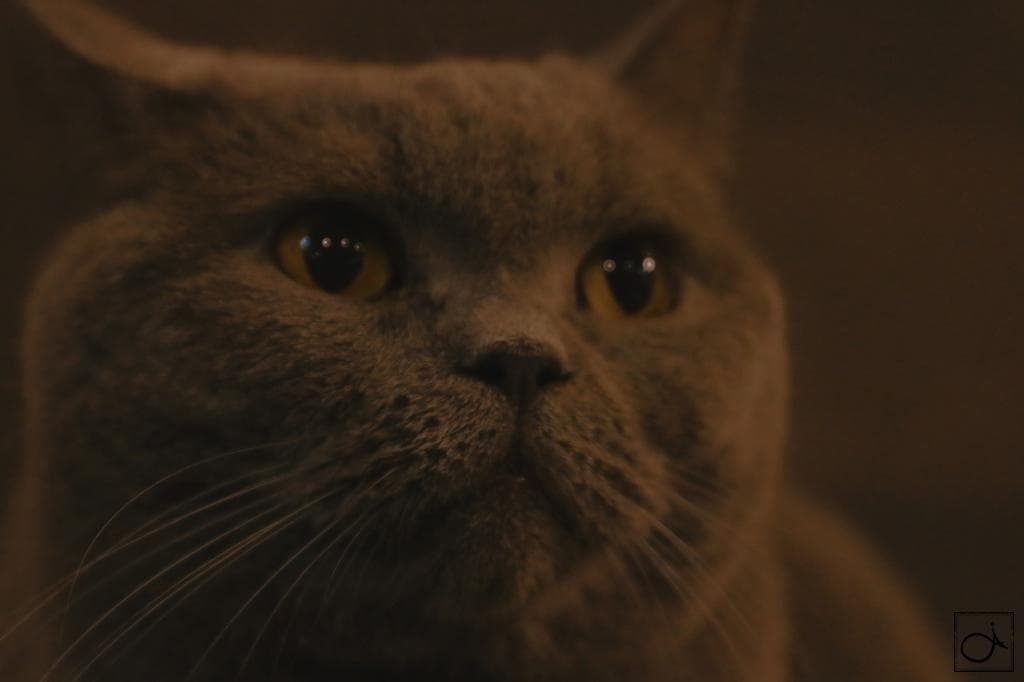 Night Photography - 3